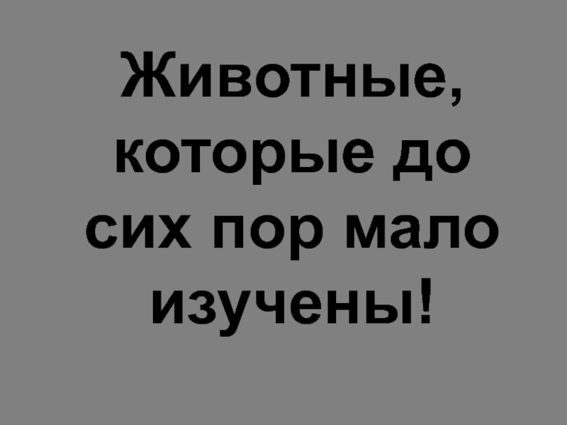 Мало пора. Животные которые до сих пор мало изучены. Животные которые до сих пор мало изучены в Краснодаре.