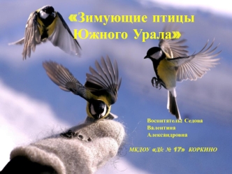 Зимующие птицы Южного Урала