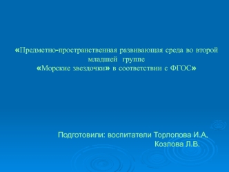 Формы организации ППРС во 2 младшей группе