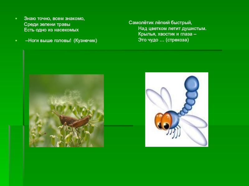 С г георгиев стрекот кузнечика 2 класс презентация