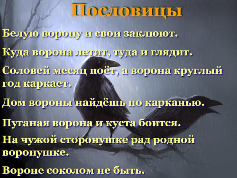 Пословица ворон ворону. Ворона круглый год каркает. Соловей месяц поет ворона круглый год каркает. Ворона поет. Соловей месяц поет ворона круглый год каркает пословица.