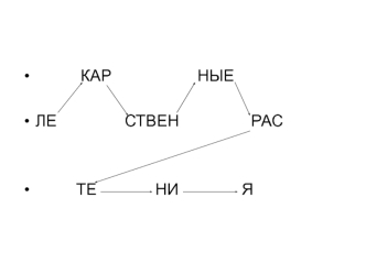 prezentatsiya lekarstvennye rasteniya microsoft powerpoint