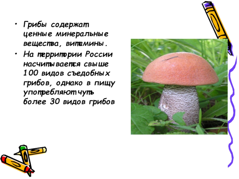 В грибах содержится белка. Гриб состоит. Минеральные вещества в грибах. Что содержится в грибах. Вещество содержится в грибах.