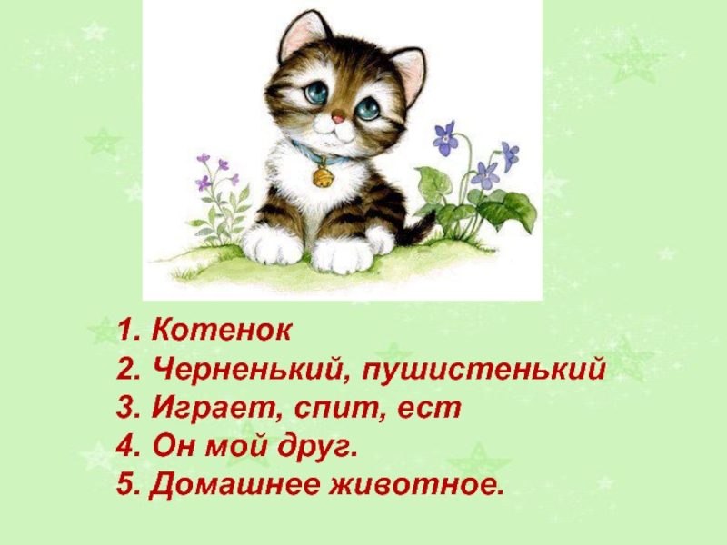 Котенок 2 класс литературное чтение. Синквейн котенок. Синквейн кошка. Синквейн животное. Синквейн на тему кот.