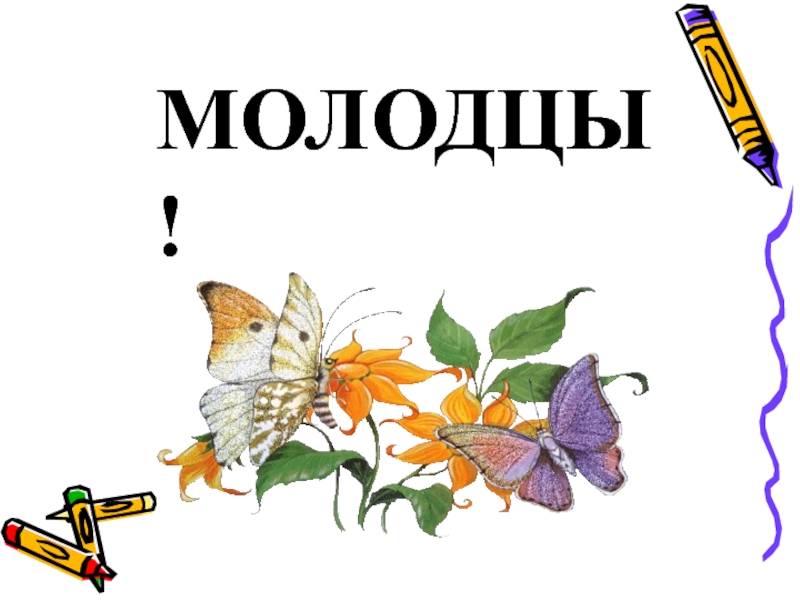 Молодец 30