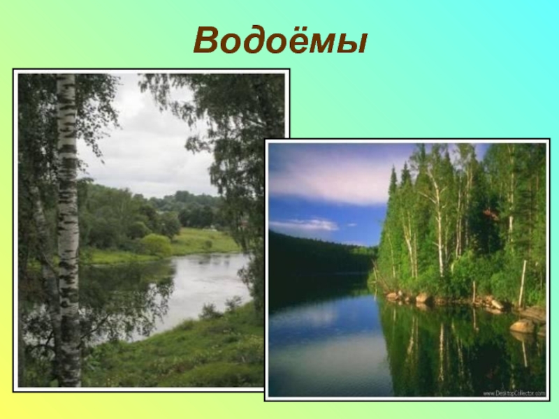 Выполни рисунки показывающие реку реки твоего края. Поверхность и водоемы твоего края. Поверхность земли и водоёмы твоего края. Поверхность и водоемы твоего края 4 класс. Доклад поверхность и водоемы твоего края.