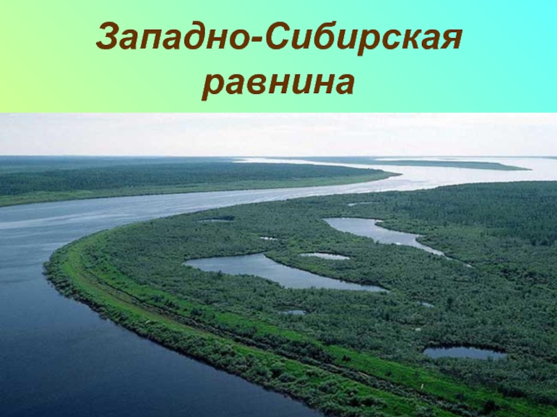 Западно сибирская равнина рисунок