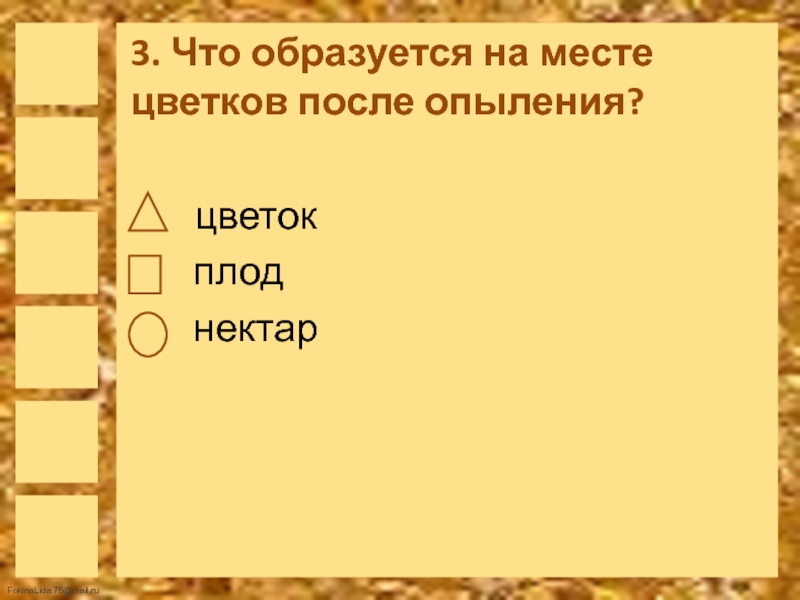 Что образуется на месте цветка после опыления. Что образуется на месте цветов после опыления. Что образуется на месте цветков после опыления 3 класс окружающий мир. 3. Что образуется на месте цветка?.