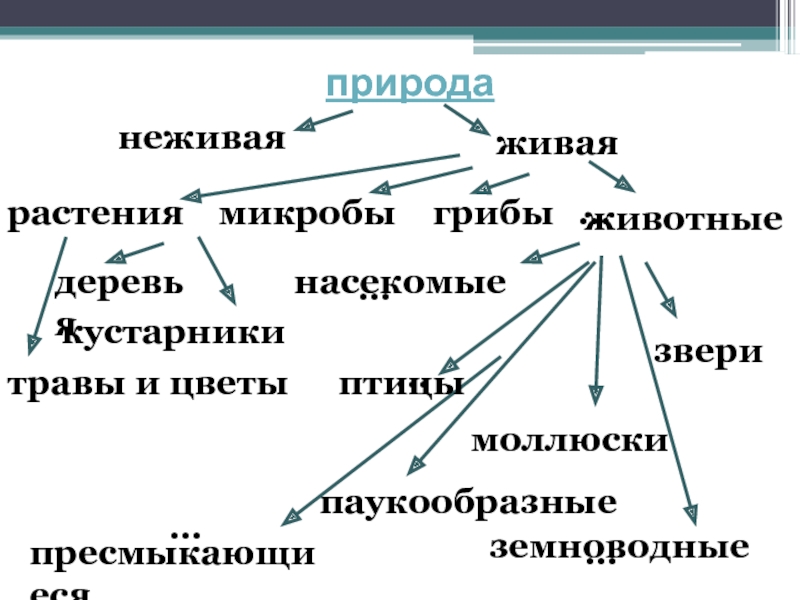 Какой природе относится