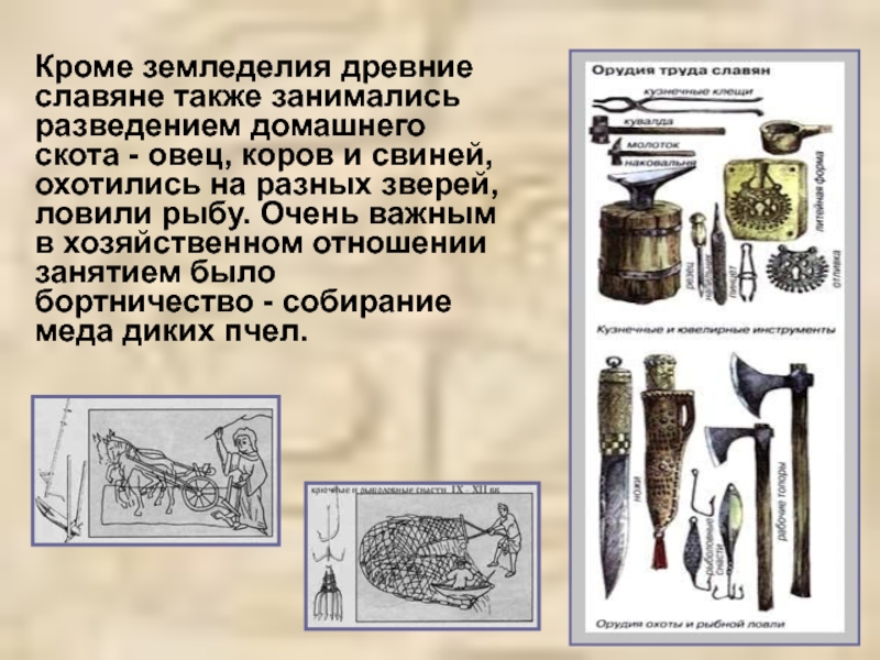 Орудия восточных славян. Предметы труда и быта древних славян. Чем занимались древние славяне. Орудия быта древних славян. Предметы земледелия древних предков.