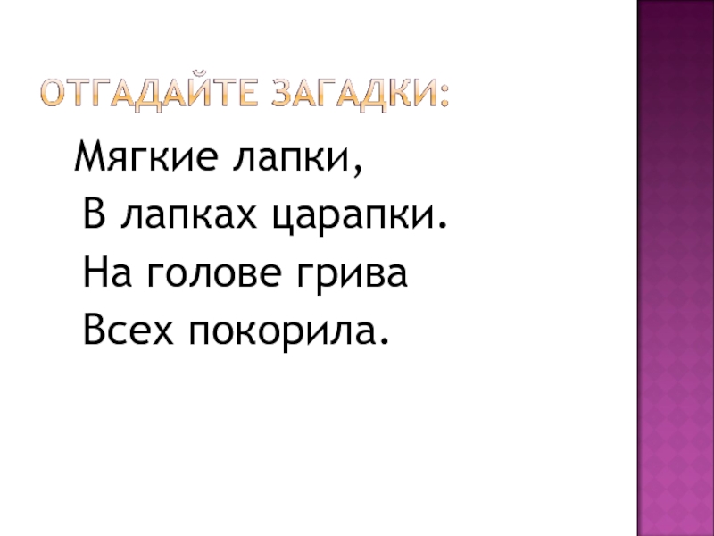 Мягкие лапки а в лапках царапки загадка. Отгадай загадку мягкие лапки а в лапках царапки. Что мягче всего загадка. Загадка про мягкую игрушку.