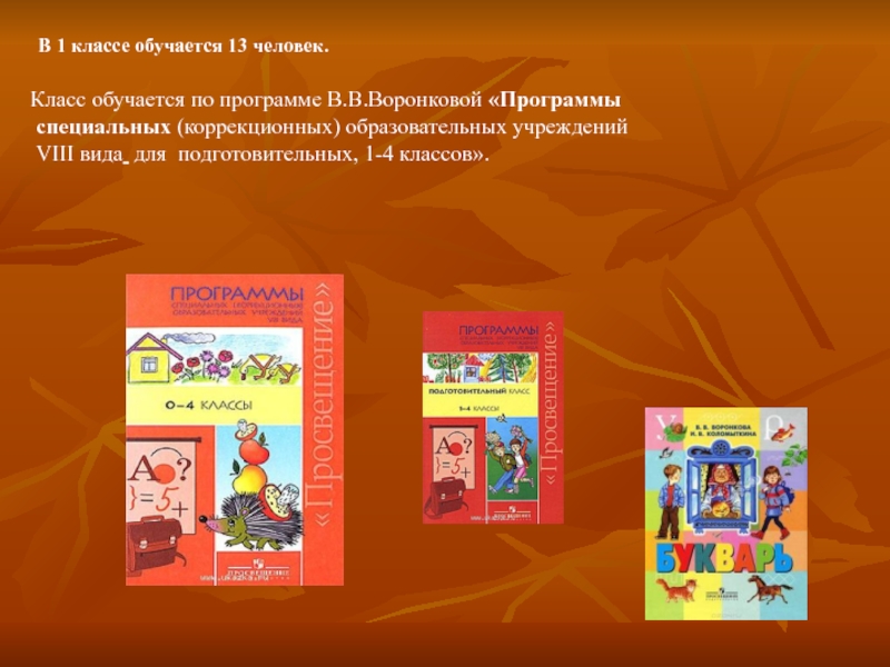 1 класс 8 вид. Программа в в Воронковой 1-4 класс. Коррекционная программа Воронкова. Программа Воронковой 8 вида. УМК для специальных (коррекционных) ОУ VIII вида.