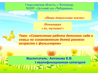 Предложенный мною материал будет полезен в работе с детьми раннего возраста