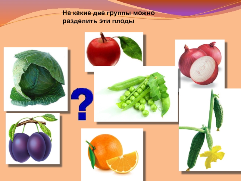 На какие две группы можно разделить растения. Овощи у которых едят плоды. На какие группы можно разделить плоды. Раздели эти плоды на группы. У каких овощей мы едим плоды.