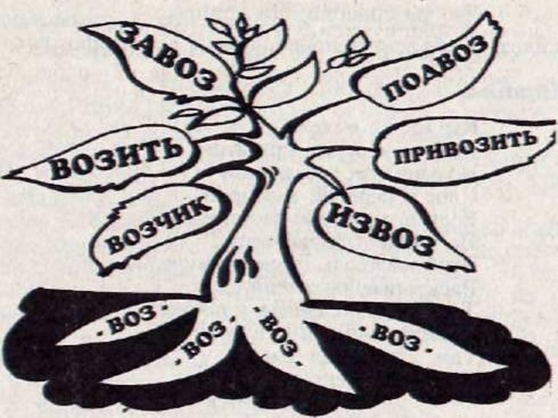 Нарисовать дерево с однокоренными словами 3 класс. Дерево с однокоренными словами дом. Проект однокоренные слова 3 класс. Дерево родственных слов рисунок. Дерево родственных слов 2 класс.