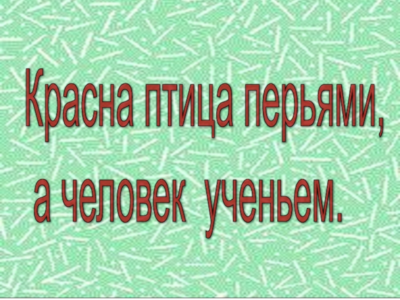 Человек красен ученьем. Красна птица пером а человек. Красна птица пером а человек ученьем. Красна птица пером а человек умом.