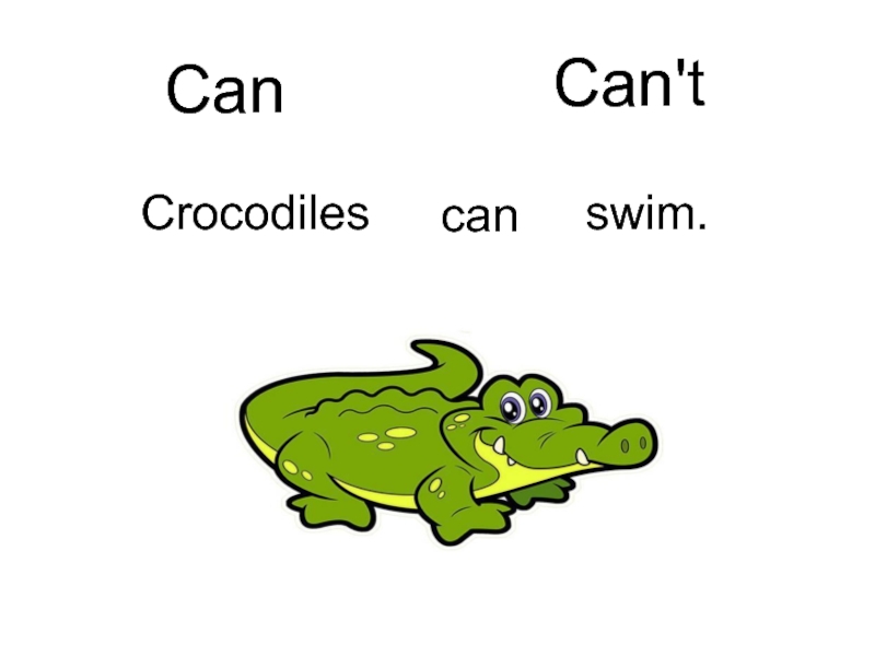 Крокодил на английском. Crocodile can Swim picture for Kids. A Crocodile can Swim перевод на русский язык. Crocodiles can't Run. Crocodile can Swim картинка для детей PNG.