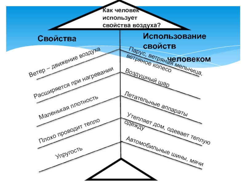 Система свойств человека