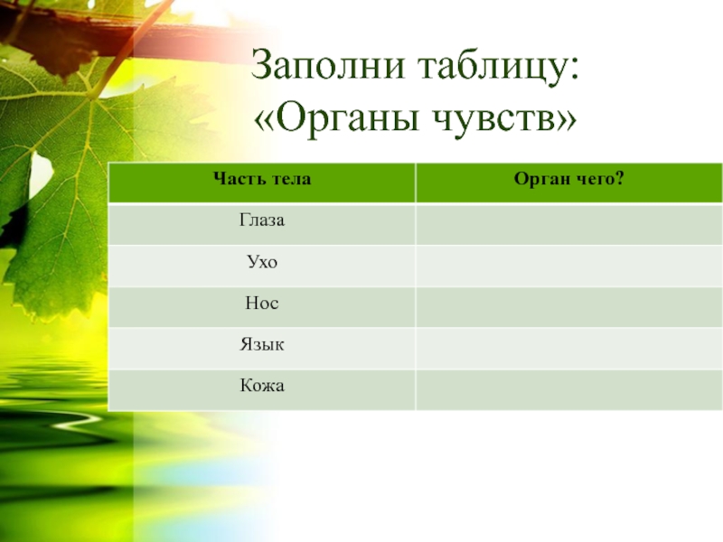 Заполните таблицу организмы. Заполни таблицу органы чувств. Органы чувств заполнить таблицу. Заполните таблицу органы чувств человека. Заполни таблицу органы.