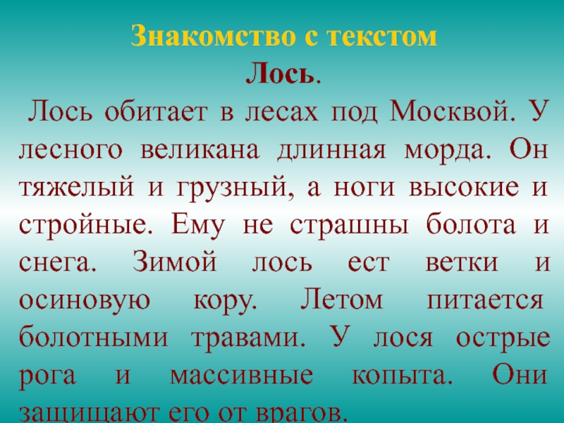 На лесную поляну вышел огромный лось изложение план