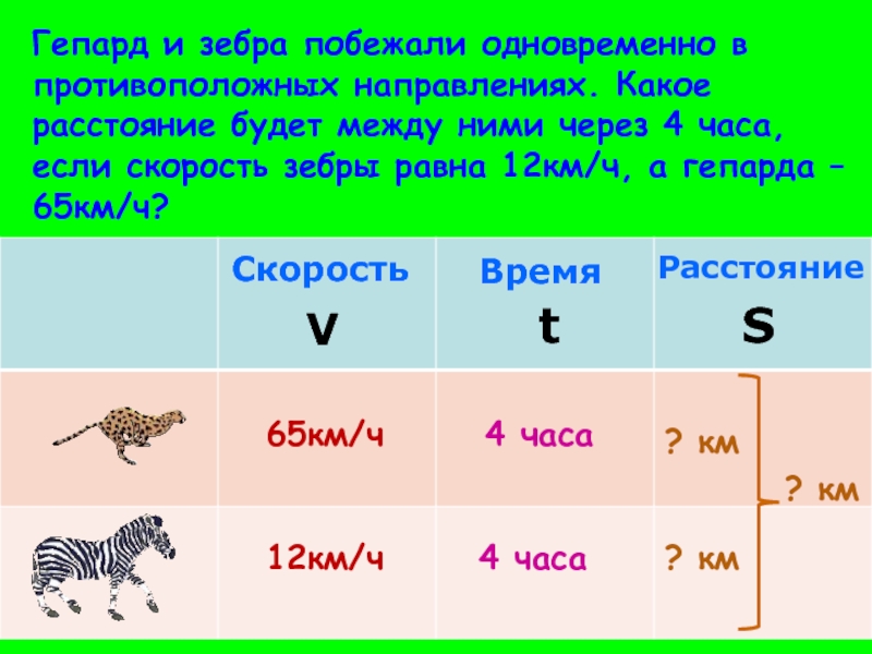 65 км час. Диаграмма 4 класс математика страус, гепард, Зебра. Из стада одновременно в противоположное направление побежали 2.