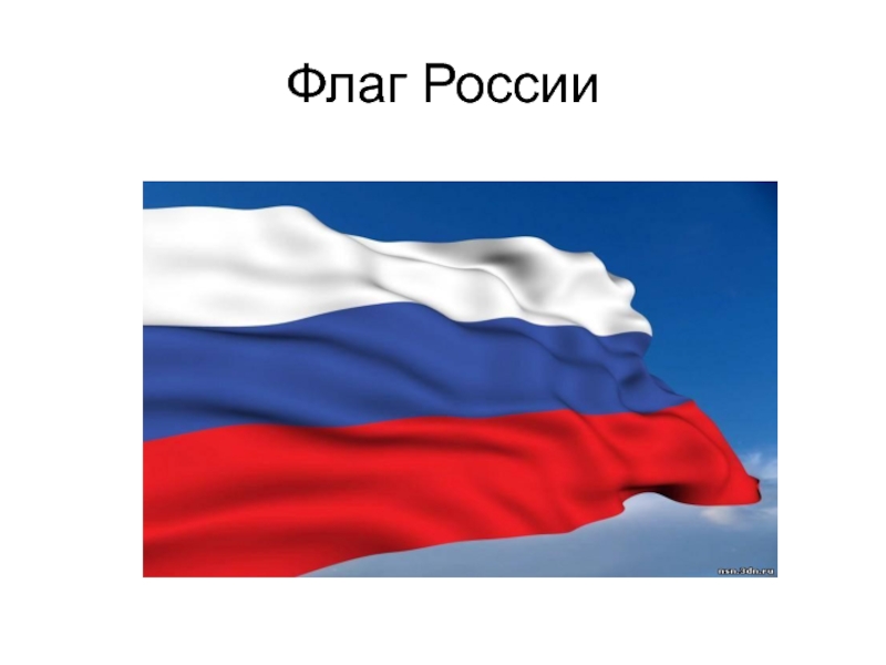 Как выглядит флаг россии картинки покажи пожалуйста