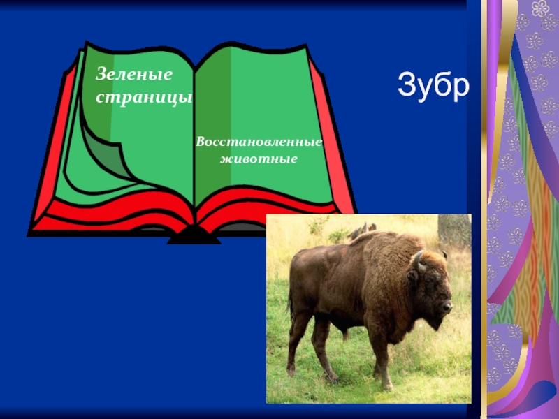 Зубр занесен в красную книгу с пометкой. ЗУБР зеленые страницы. ЗУБР страница в красной книге. Красная книга ЗУБР цвет страницы. ЗУБР зеленые страницы красной книги.