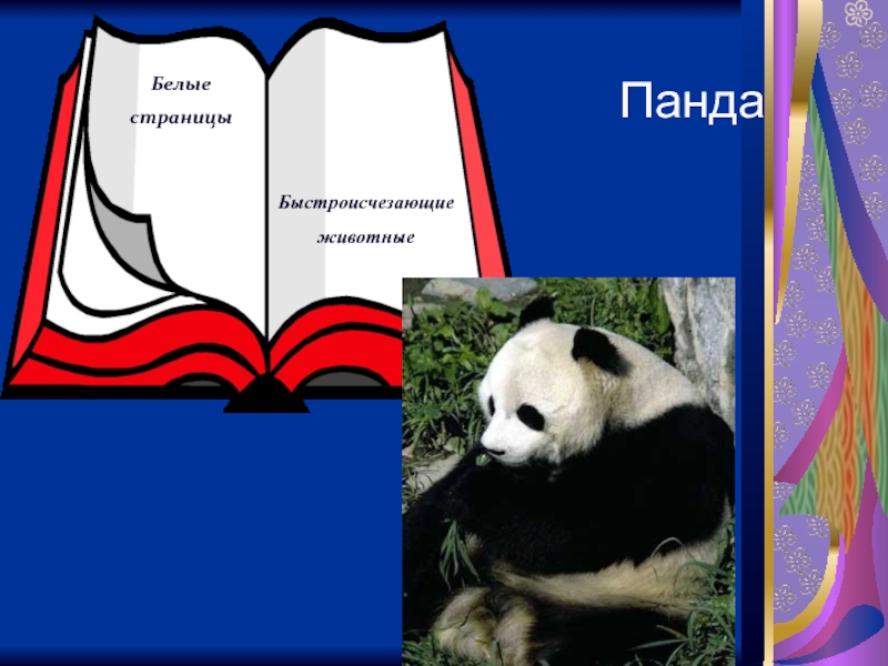 На какой странице. Панда цвет страницы в красной книге. Красная Панда цвет страницы в красной книге. Белая Панда красная книга. Белые страницы красной книги Панда.