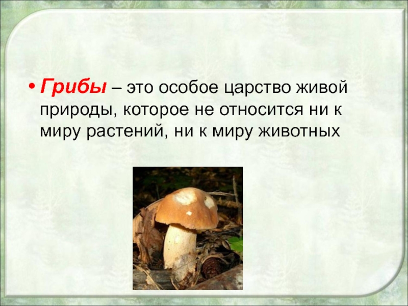 Почему грибы считают. Грибы отдельное царство. Грибы это особое царство природы. Грибы царство живой природы. Царство грибов презентация.