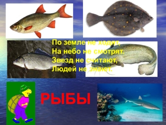 Раздел 