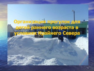 Организация прогулок для детей раннего возраста в условиях Крайнего Севера