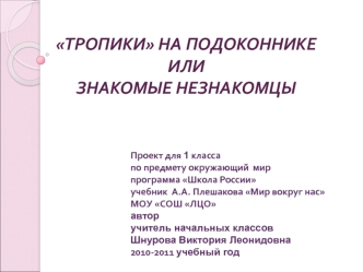 Стартовая презентация для учащихся