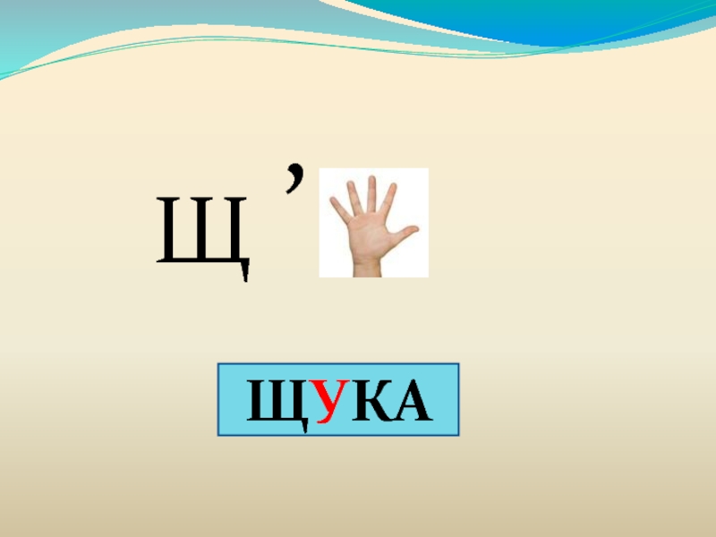 Правило чаща. Ребусы Чу ЩУ. Презентация ча ща. ЩУ 1 класс. Ча ща Чу ЩУ 1 класс.