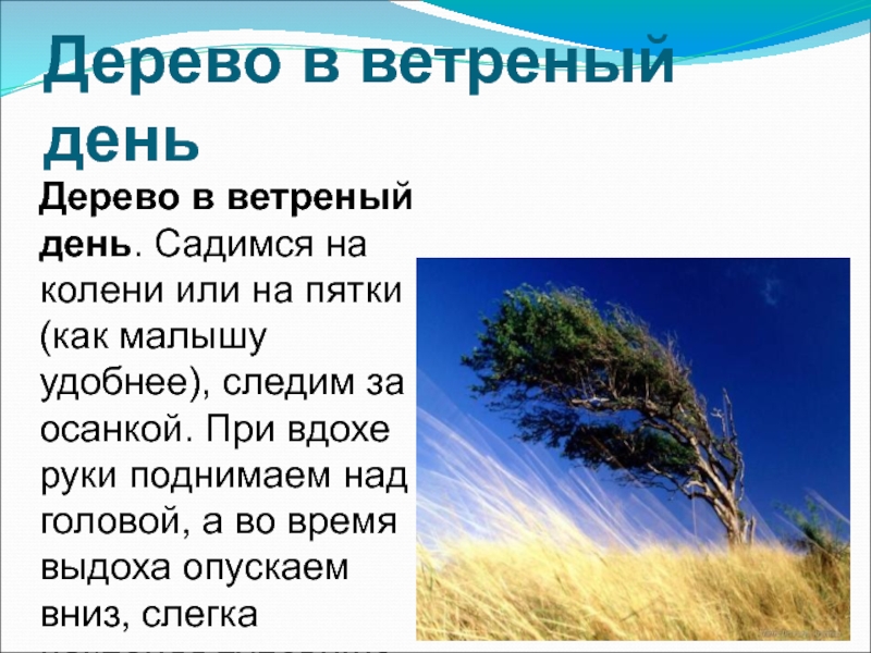 Как правильно ветренная или ветреная погода. Стихотворение про ветер. Стихи про ветер для детей. Легенда о ветре. Стих про ветренную погоду.