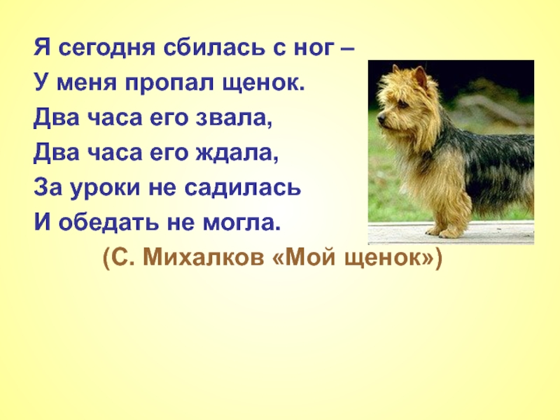 Рассказ щенок. У меня пропал щенок стих. Стих у меня пропал щенок текст. Стишок у меня пропал щенок. Я сегодня сбилась с ног у меня пропал щенок.