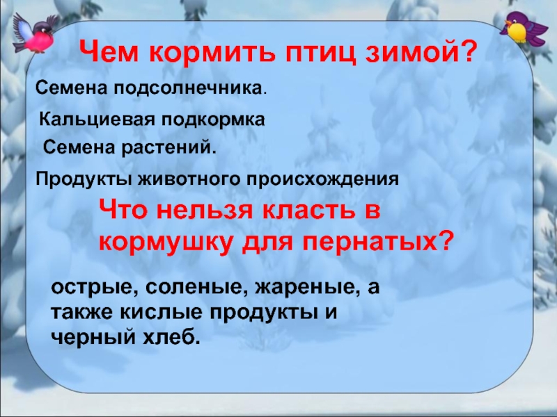 Чем кормить птиц. Правила кормления птиц зимой. Для чего кормить птиц зимой. Зачем нужно подкармливать птиц зимой. Чем нельзя кормить птиц зимой презентация.