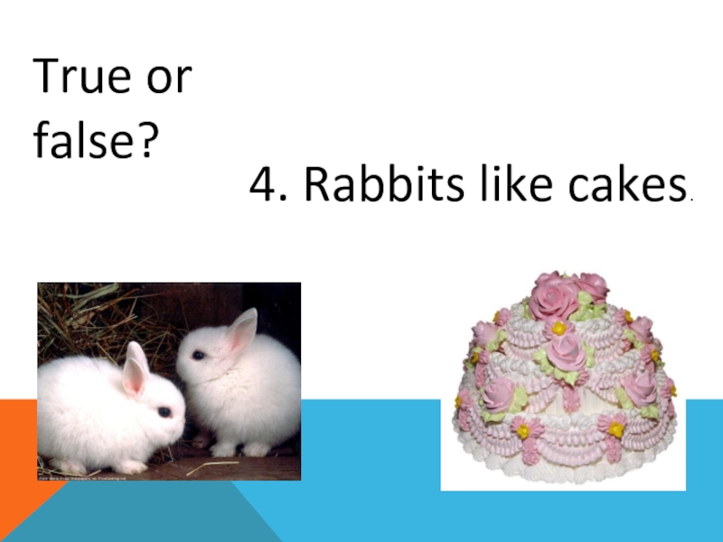 They like cakes. I like Rabbits he likes Rabbits 2 класс английский. He ____ (like) Cakes.. I like Cake.