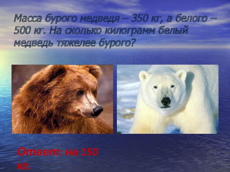 Масса бурого медведя – 350 кг, а белого – 500 кг. На сколько килограмм белый медведь тяжелее