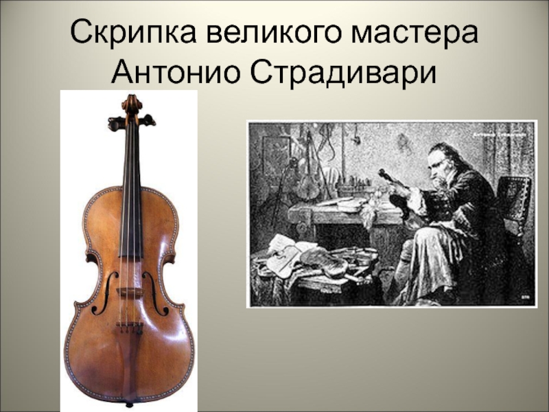 Знаменитые итальянские скрипичные мастера амати