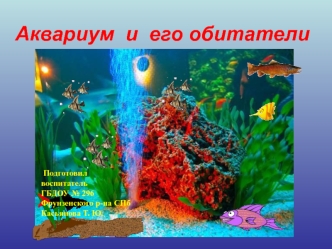 akvariumnyee ryby