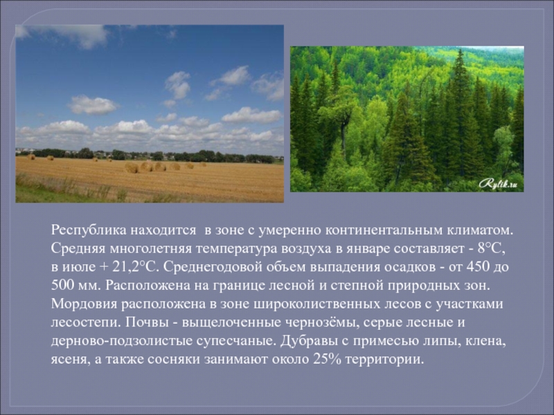 В какой зоне находится удмуртия. Природные зоны Мордовии. Разнообразие природы молдавского края. Природа Мордовии презентация. Климат Республики Мордовия.