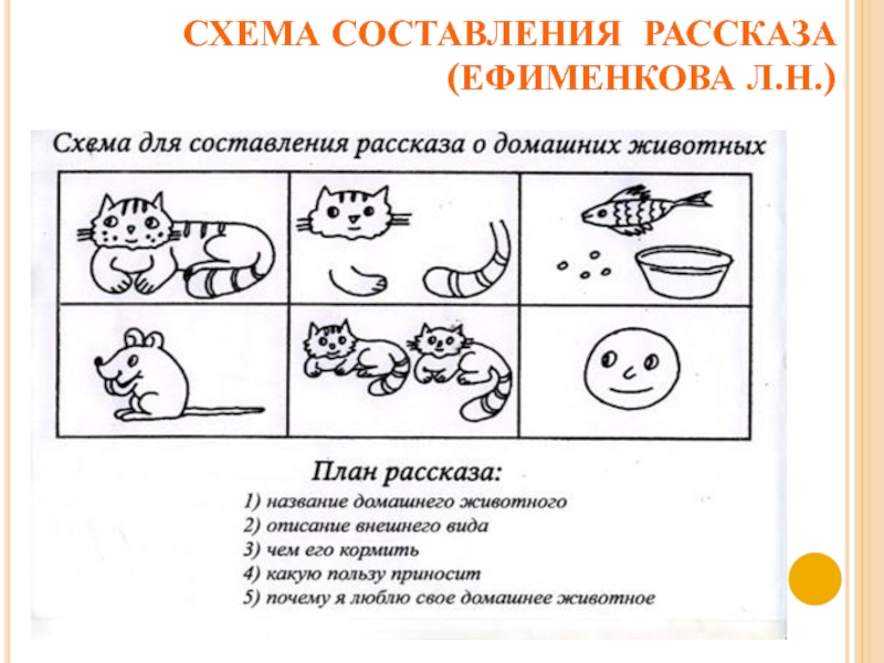 Схема для составления рассказа о насекомых