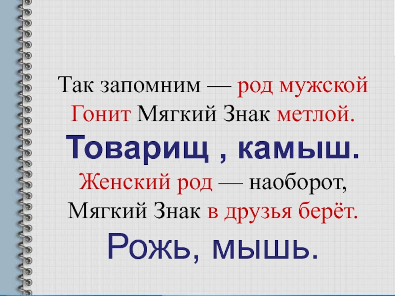 Товарищ в женском роде. Так запомним род мужской гонит мягкий знак метлой. Товарищ мягкий знак. Мягкий знак женский род.