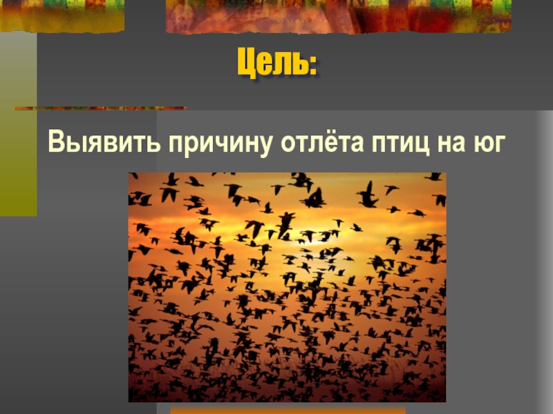 Причины отлета птиц. Причины отлёта птиц ответ. Причина отлета птиц на Юг. Причины отлета птиц окружающий мир.