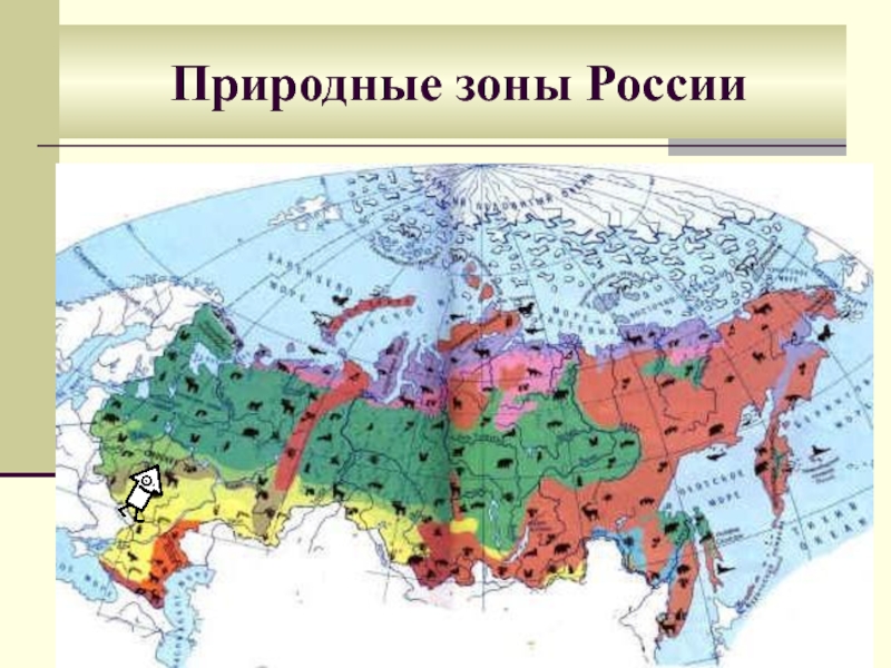 Карта с природными зонами россии 4 класс с названием