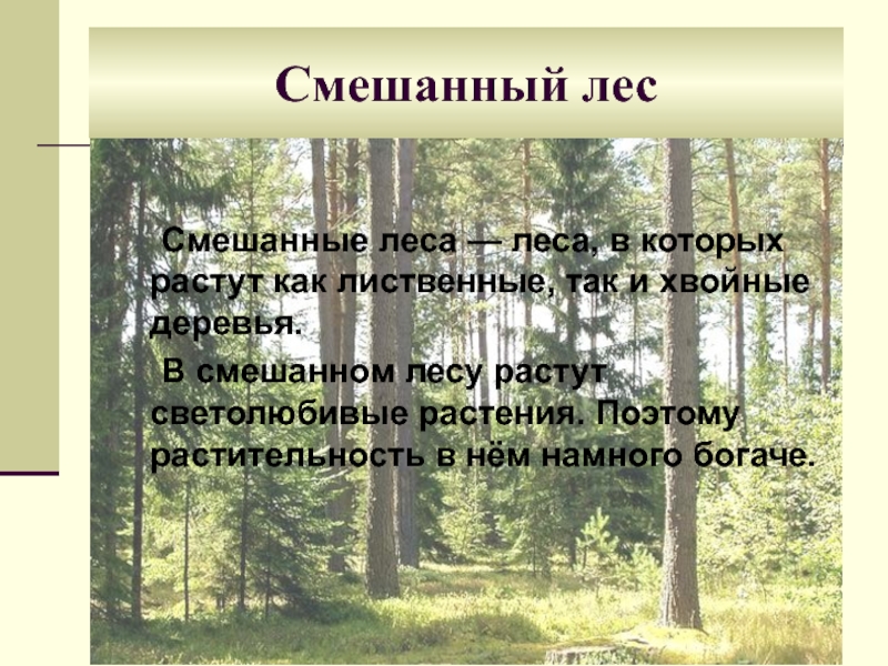 Статья из периодической педагогической печати с планом