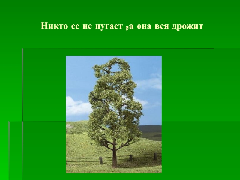 Никем не пуганный. Никто ее не пугает а вся дрожит. Никто не пугает а вся дрожит отгадка. Загадка никто не пугает а Ася дрожи т. Никто её не пугает а она вся дрожит.