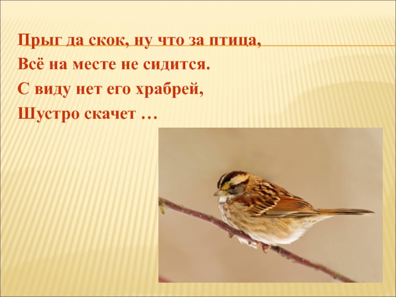 Не сидится. Прыг скок что за птица. Прыг Прыг Прыг. Стихотворение Прыг скок. Прыг скок на ветку.