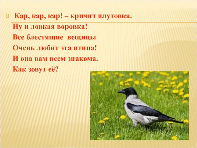 Эта птица знакома всем. Кар кар кар кар кричит плутовка.. Кар кар чередование. Кар слова на кар. Загадка кар кар кар кричит плутовка.