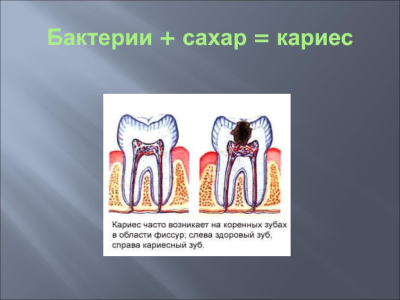 Кариес картинки для презентации